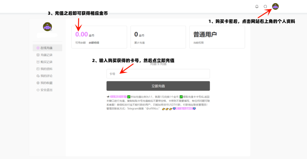 充值演示图